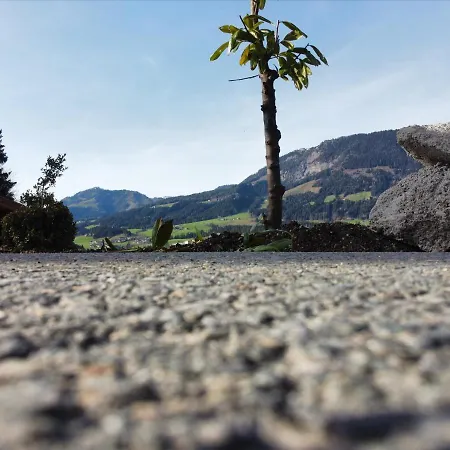 Lägenhet Hanni Deisenberger Fieberbrunn