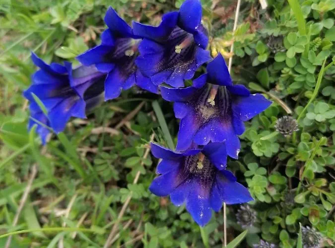 Appartamento Hanni Deisenberger Fieberbrunn