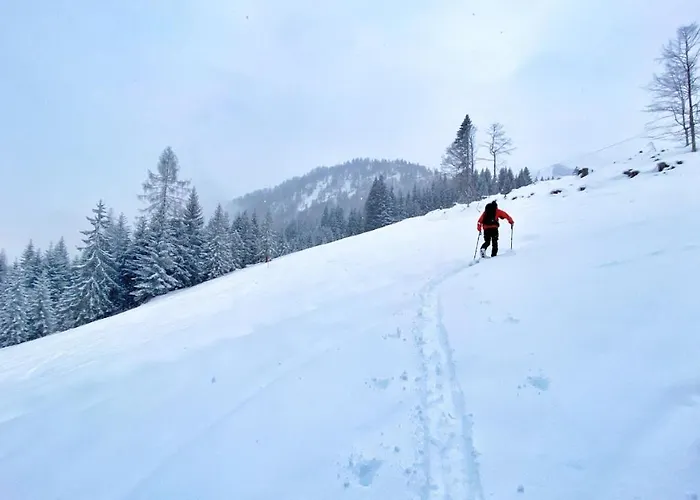 Hanni Deisenberger * Fieberbrunn